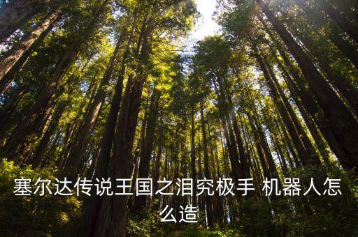 塞爾達(dá)傳說王國之淚究極手 機(jī)器人怎么造