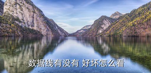  數(shù)據(jù)線有沒有 好壞怎么看
