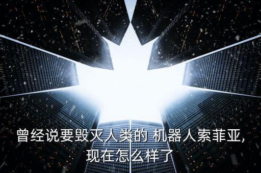 沙特的第一個(gè)機(jī)器人公民,世界第一個(gè)機(jī)器人公民 索菲亞