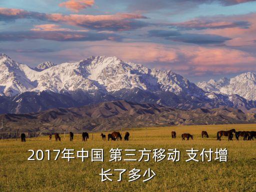 2017年中國 第三方移動 支付增長了多少