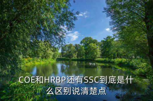 COE和HRBP還有SSC到底是什么區(qū)別說(shuō)清楚點(diǎn)