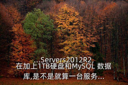 ...Servers2012R2,在加上1TB硬盤和MySQL 數(shù)據(jù)庫,是不是就算一臺服務(wù)...