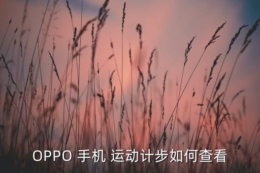 OPPO 手機(jī) 運(yùn)動計步如何查看
