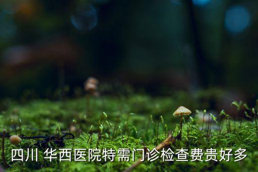 華西機(jī)器人
