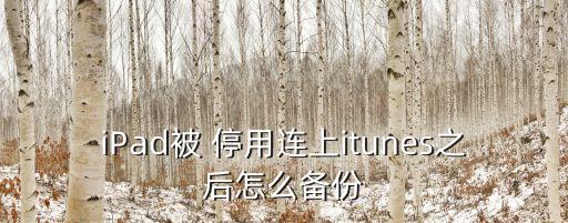 iPad被 停用連上itunes之后怎么備份