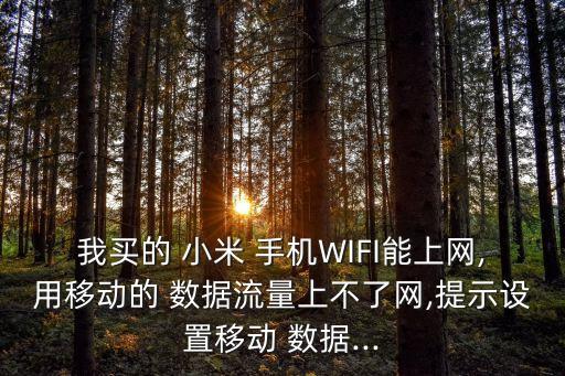 我買的 小米 手機(jī)WIFI能上網(wǎng),用移動的 數(shù)據(jù)流量上不了網(wǎng),提示設(shè)置移動 數(shù)據(jù)...
