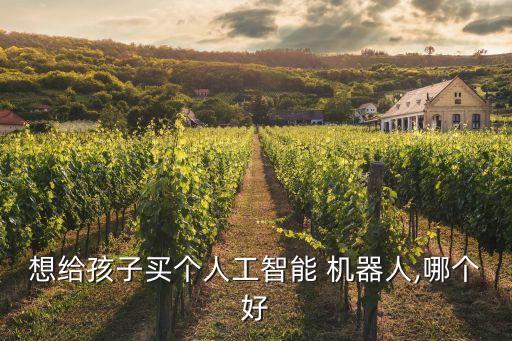 想給孩子買個(gè)人工智能 機(jī)器人,哪個(gè)好