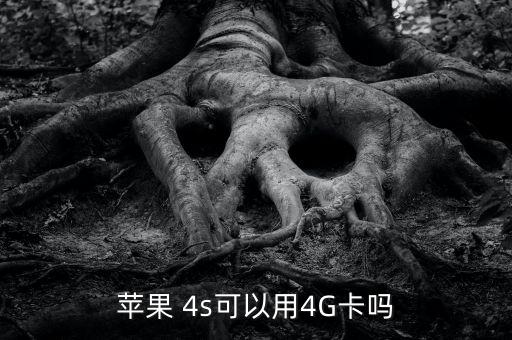 蘋果 4s可以用4G卡嗎