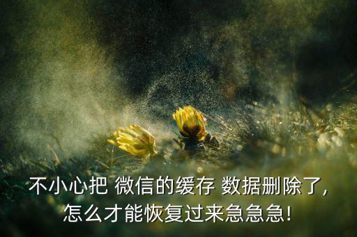 不小心把 微信的緩存 數(shù)據(jù)刪除了,怎么才能恢復(fù)過來急急急!