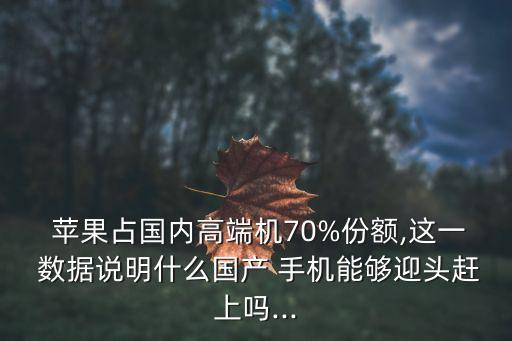  蘋果占國(guó)內(nèi)高端機(jī)70%份額,這一 數(shù)據(jù)說明什么國(guó)產(chǎn) 手機(jī)能夠迎頭趕上嗎...