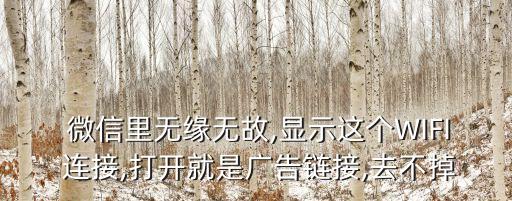  微信里無緣無故,顯示這個WIFI 連接,打開就是廣告鏈接,去不掉