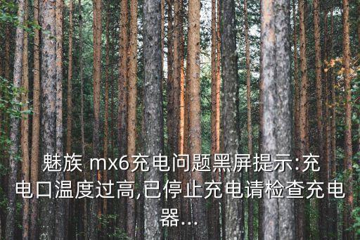 魅族mx6數(shù)據(jù)線接口