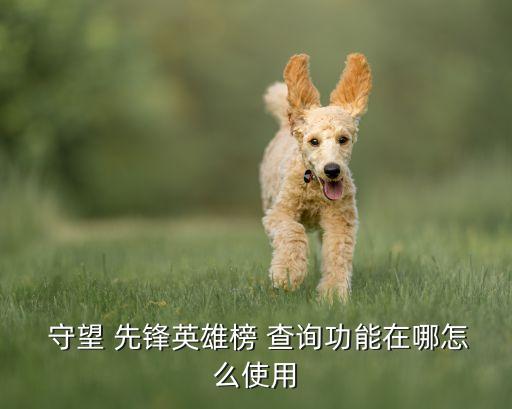  守望 先鋒英雄榜 查詢功能在哪怎么使用