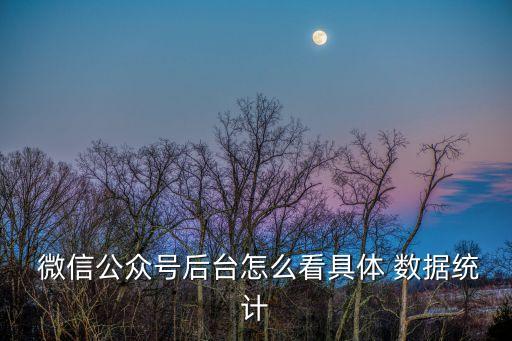  微信公眾號后臺怎么看具體 數(shù)據(jù)統(tǒng)計