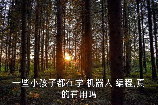 機(jī)器人 編程 兒童