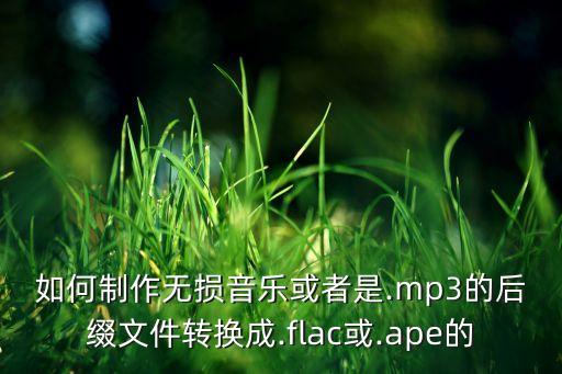 如何制作無損音樂或者是.mp3的后綴文件轉(zhuǎn)換成.flac或.ape的