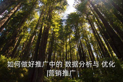 數(shù)據(jù)專線優(yōu)化,個(gè)人大數(shù)據(jù)優(yōu)化是真的嗎