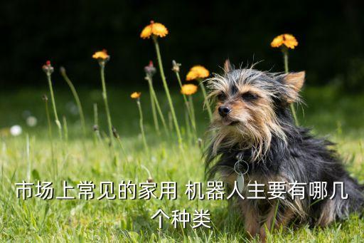 機(jī)器人廚師視頻,烹飪機(jī)器人可以代替廚師嗎