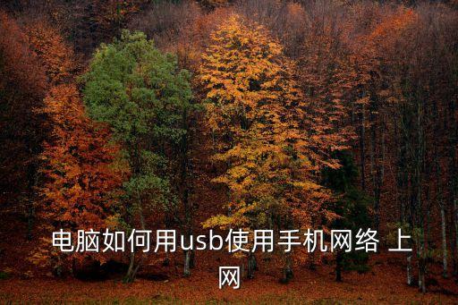  電腦如何用usb使用手機網(wǎng)絡(luò) 上網(wǎng)