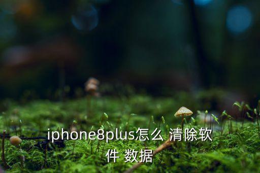 iphone8plus怎么 清除軟件 數(shù)據(jù)