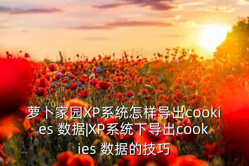 xp模塊 數(shù)據(jù)外置
