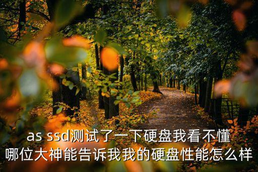 as ssd各項(xiàng)數(shù)據(jù)意思