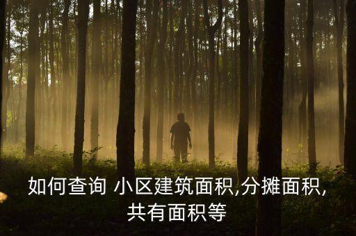 如何查詢 小區(qū)建筑面積,分攤面積,共有面積等