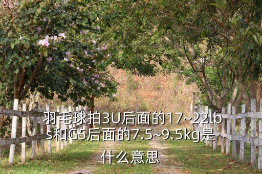 羽毛球拍底部測數(shù)據(jù)的,尤尼克斯羽毛球拍底部japan