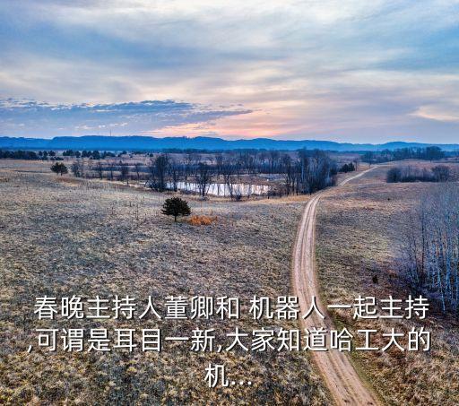 春晚小智能機(jī)器人,春晚智能機(jī)器人無人機(jī)表演舞蹈報(bào)名電話號碼手機(jī)
