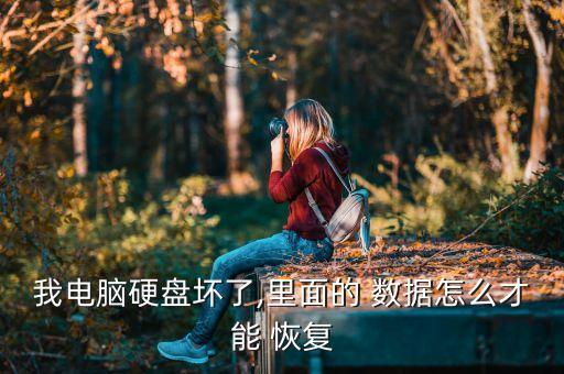 壞數(shù)據(jù)恢復(fù),ssd壞了數(shù)據(jù)能恢復(fù)嗎