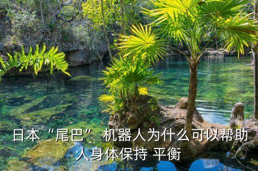 平衡 機器人,平衡機器人機械手臂的重力矩是因為