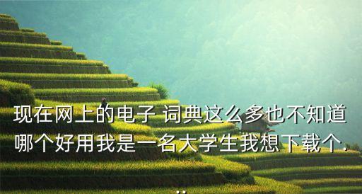 現(xiàn)在網(wǎng)上的電子 詞典這么多也不知道哪個(gè)好用我是一名大學(xué)生我想下載個(gè)...