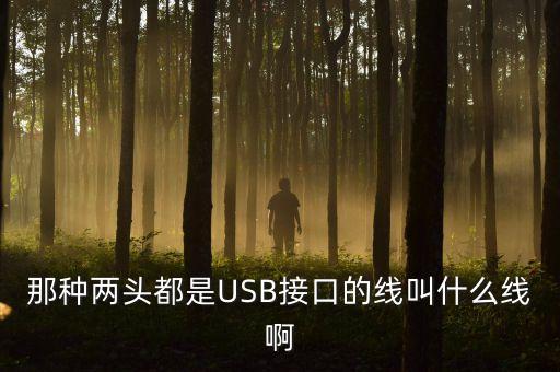 能插usb的數(shù)據(jù)線,數(shù)據(jù)線USb長(zhǎng)什么樣