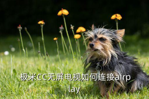  極米CC無(wú)屏電視如何連接airplay