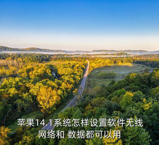  蘋果14.1系統(tǒng)怎樣設(shè)置軟件無線網(wǎng)絡和 數(shù)據(jù)都可以用