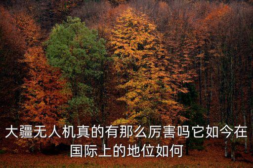 大疆無人機(jī)真的有那么厲害嗎它如今在國際上的地位如何