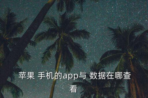  蘋果 手機(jī)的app與 數(shù)據(jù)在哪查看