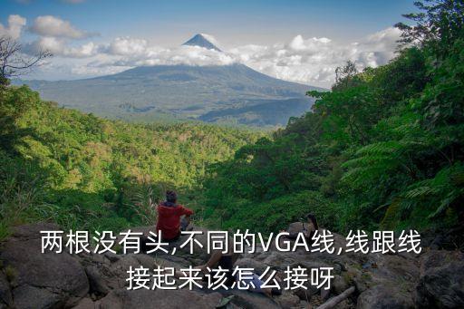 兩根沒有頭,不同的VGA線,線跟線接起來該怎么接呀