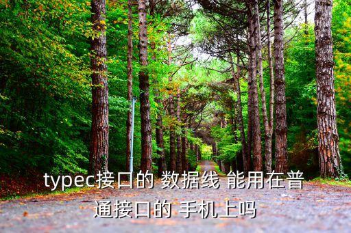 數(shù)據(jù)線手機能用嗎,電腦通過數(shù)據(jù)線控制手機