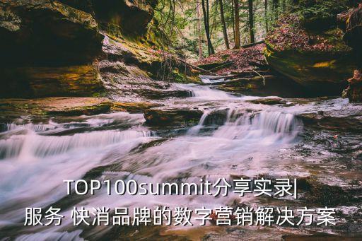 TOP100summit分享實錄|服務(wù) 快消品牌的數(shù)字營銷解決方案