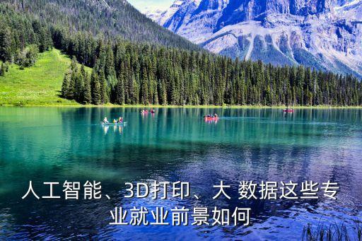 人工智能、3D打印、大 數(shù)據(jù)這些專業(yè)就業(yè)前景如何