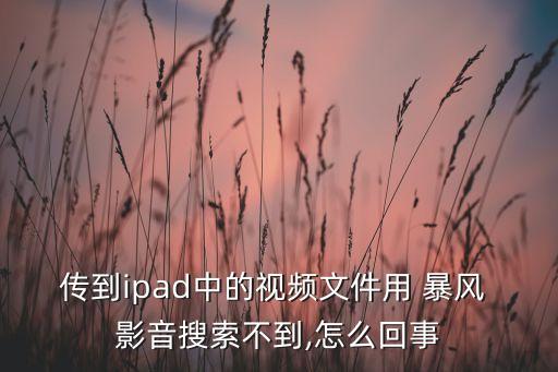 傳到ipad中的視頻文件用 暴風 影音搜索不到,怎么回事