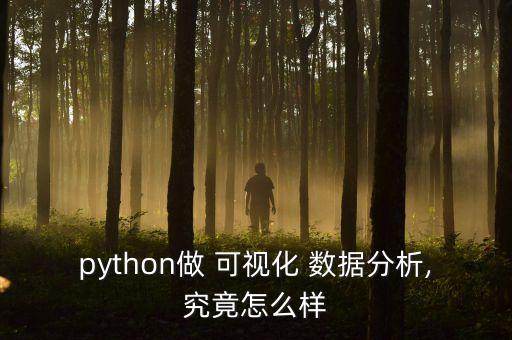 python做 可視化 數(shù)據(jù)分析,究竟怎么樣