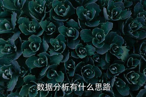 二手?jǐn)?shù)據(jù)的主要作用是(,excel主要作用是處理數(shù)據(jù)