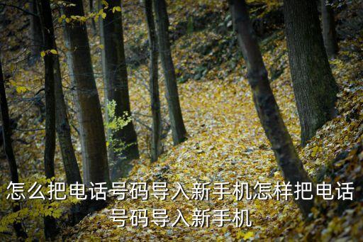 怎么把電話號碼導(dǎo)入新手機(jī)怎樣把電話號碼導(dǎo)入新手機(jī)