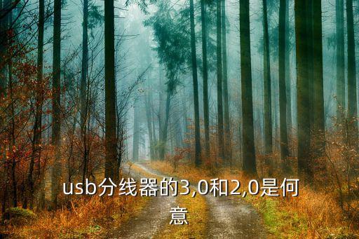  usb分線器的3,0和2,0是何意