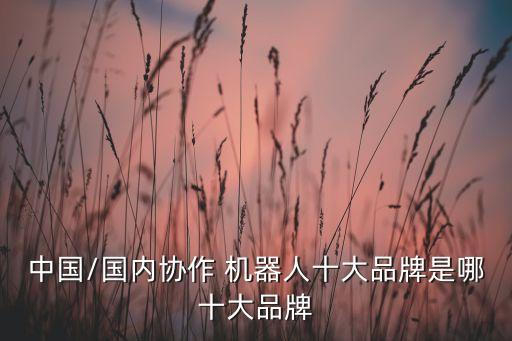 中國/國內(nèi)協(xié)作 機器人十大品牌是哪十大品牌