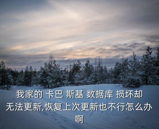 我家的 卡巴 斯基 數(shù)據(jù)庫(kù) 損壞卻無(wú)法更新,恢復(fù)上次更新也不行怎么辦啊