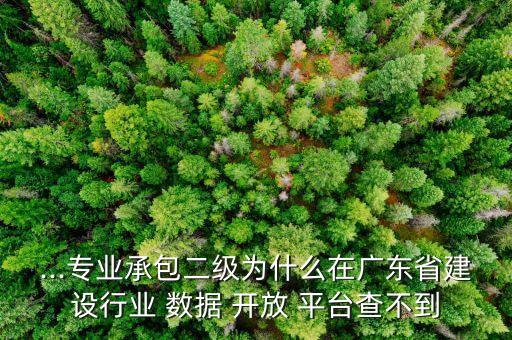...專業(yè)承包二級為什么在廣東省建設行業(yè) 數(shù)據(jù) 開放 平臺查不到