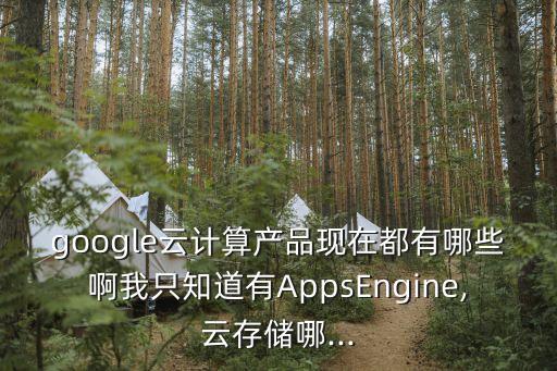 google云計(jì)算產(chǎn)品現(xiàn)在都有哪些啊我只知道有AppsEngine,云存儲(chǔ)哪...